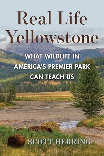 Real Life Yellowstone (Paperback)