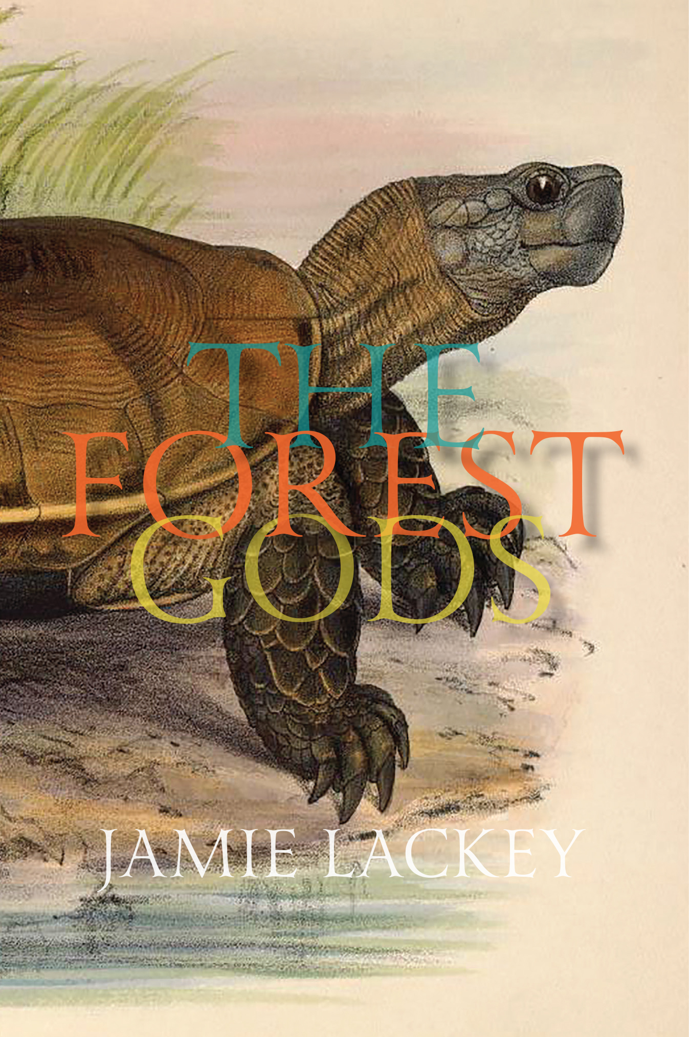 The Forest Gods (Paperback)