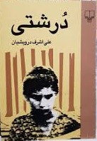 درشتی: داستان‌های کوتاه (Paperback)