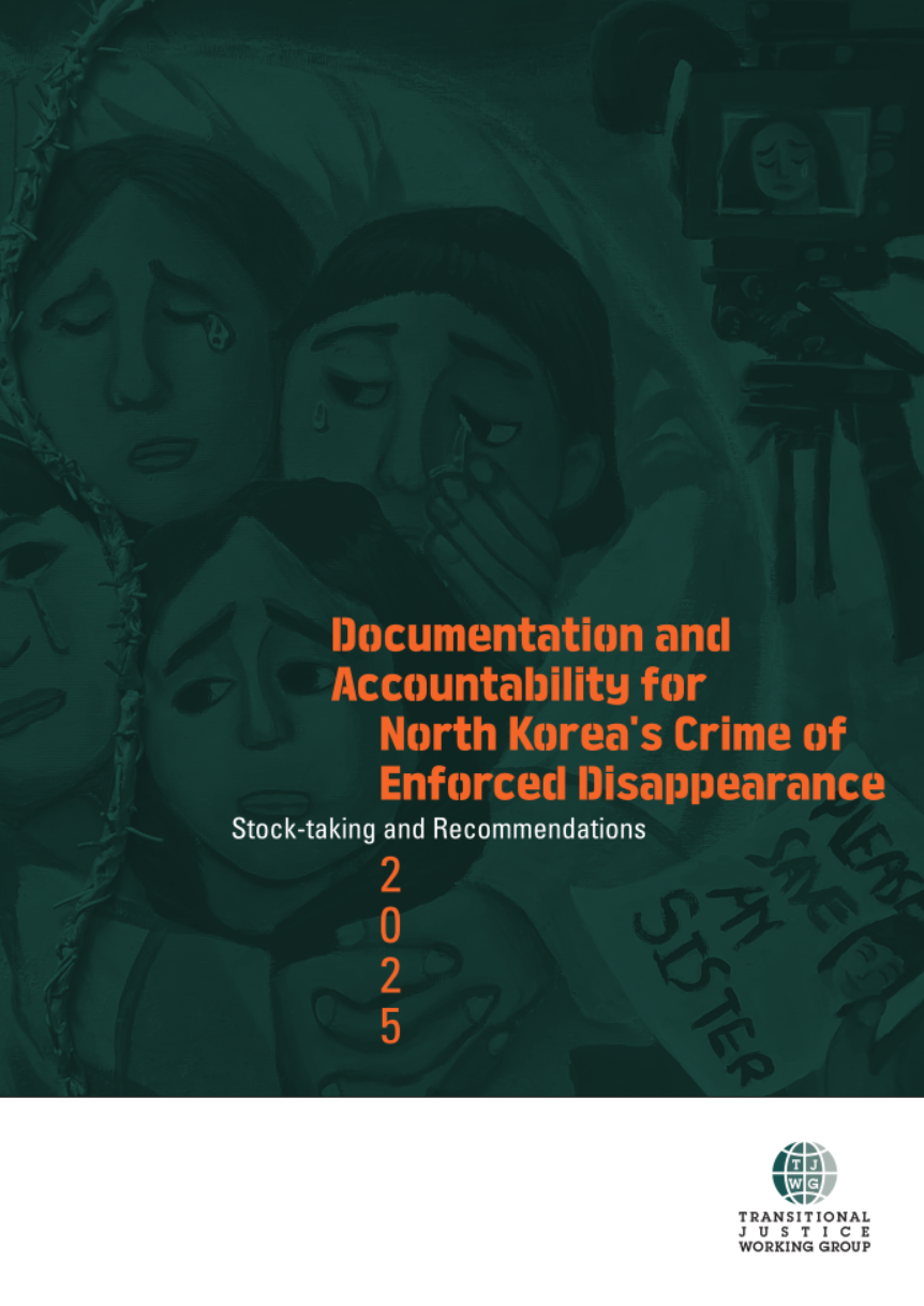 Documentation and Accountability for North Korea's Crime of Enforced Disappearance: Stock-taking and Recommendations