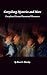 GETTYSBURG MYSTERIES AND MORE