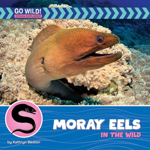 Moray Eels in the Wild (21st Century Beginning Library: Go Wild! Ocean Explorer)