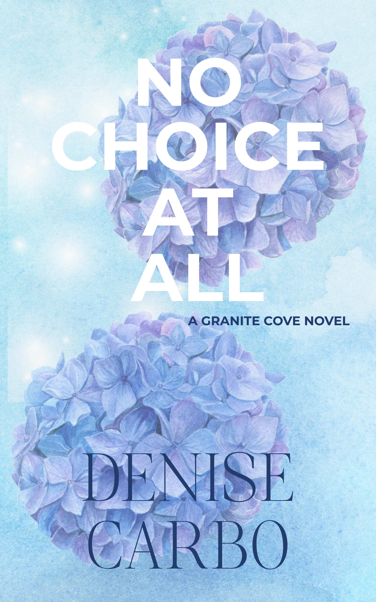 No Choice At All (Granite Cove, #3)