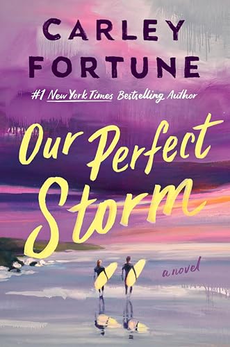Our Perfect Storm (Hardcover)