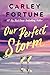 Our Perfect Storm