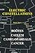 Electric Constellations Boo...