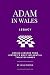 Adam in Wales – Legacy: Design Lessons From History's Most Influential Tabletop Games (Adam In Wales - Board Game Design)