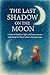 The Last Shadow on the Moon...