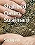 Shaheed Qasim Sulaimani by Sadiq Ali