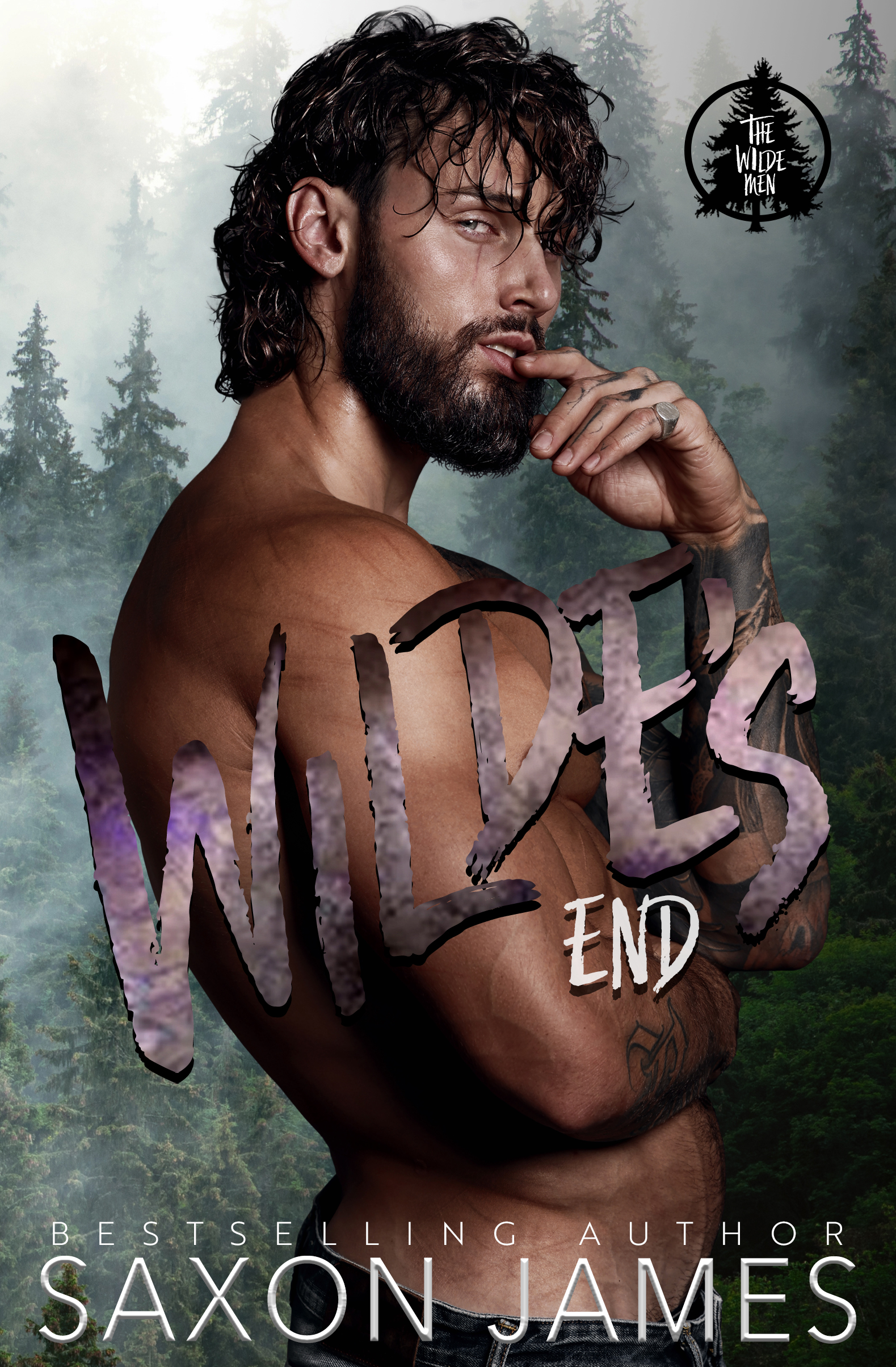 Wilde's End (The Wilde Men, #1)
