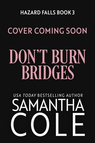 Don't Burn Bridges (Hazard Falls #3)
