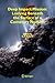 Deep Impact Mission: Lookin...
