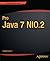 Pro Java 7 NIO.2