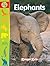 Elephants (Zootles)