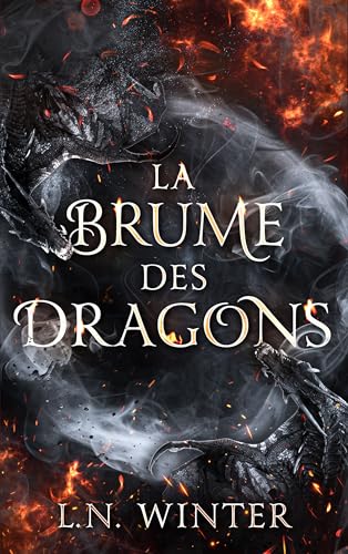 La brume des dragons: Romantasy One-shot (French Edition)