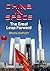 China in Space: The Great Leap Forward (Springer Praxis Books)