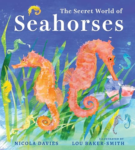 The Secret World of Seahorses (Hardcover)