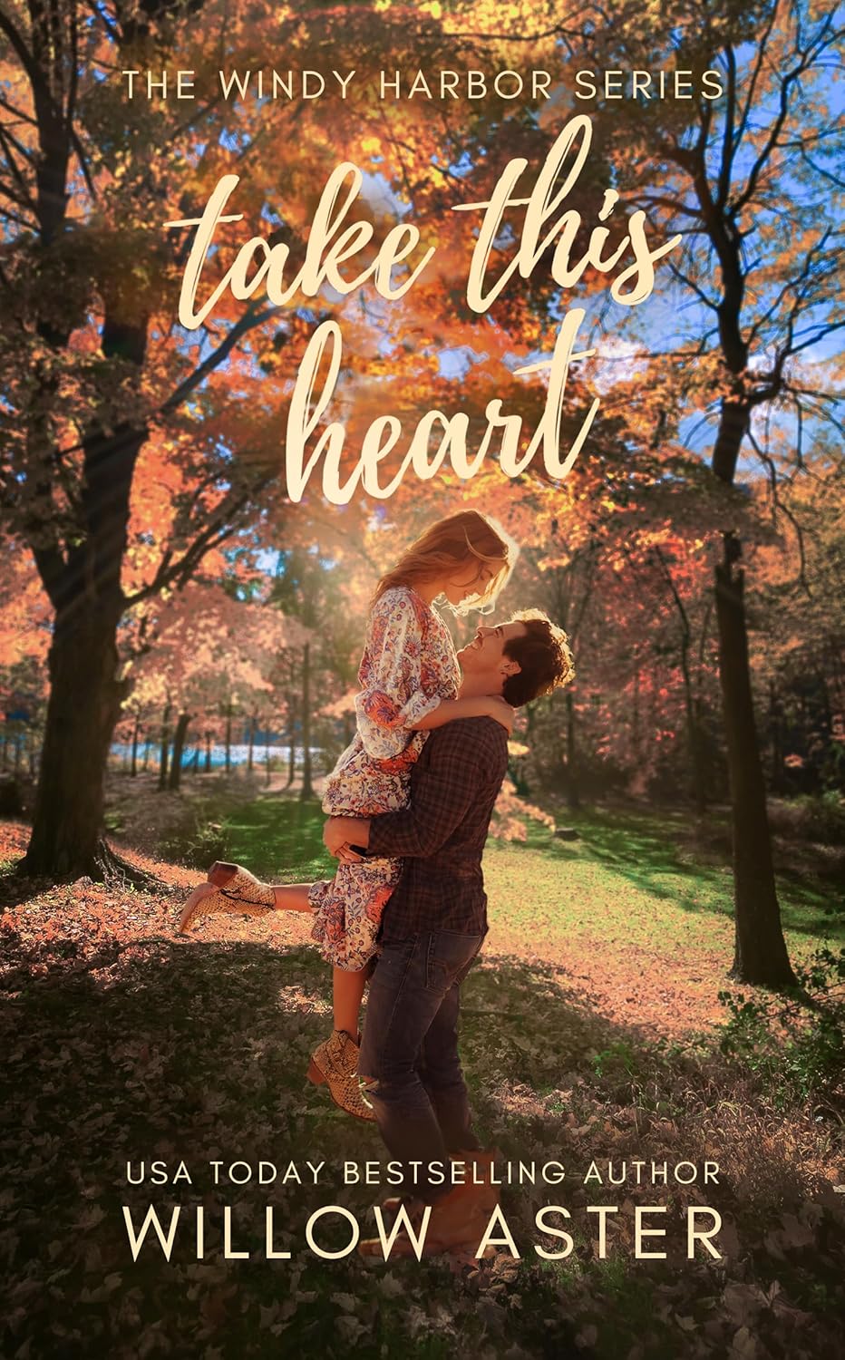 Portada de Take This Heart, de Willow Aster
