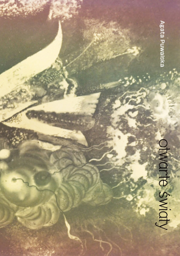 otwarte światy (Paperback)