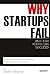 Why Startups Fail: And How Yours Can Succeed