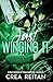 Just Winging It (For Puck's Sake Alternate Discreet Covers)