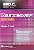 BRS Neuroanatomy (Board Rev...