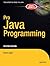 Pro Java Programming