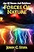 Forces Of Nature (Age Of Storms And Rainbows Book 3) by John C. Stipa