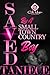 Saved By A Small Town Country Boy by Taniece