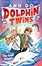 The Lost Island (Dolphin Twins, Book 1)