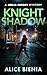 Knight Shadow by Alice Bienia