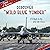 Discover "Wild Blue Yonder": A Tribute to the U.S. Air Force (21st Century Junior Library: Songs of America)