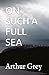 On Such A Full Sea