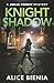 Knight Shadow by Alice Bienia