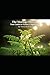 The Moringa Miracle: Your G...
