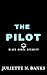 The Pilot: Steamy Military Romance (Black Hawke Security Book 7)