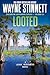 Looted by Wayne Stinnett