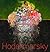 Hodermarsky