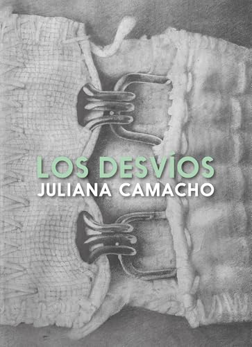 Los desvíos (Spanish Edition)