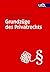 Grundzüge des Privatrechts by Alexander Neumann