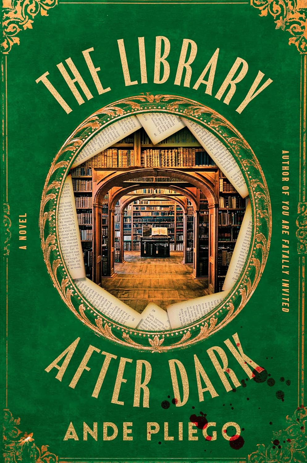 The Library After Dark: A Novel (Hardcover)