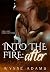 Into the Fire: After: A Why...