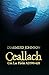 Ceallach by Diarmuid Johnson