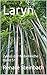 Laryn: Zyklus der Nebelreic...