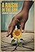 A Raisin in the Sun by Lorraine Hansberry