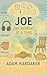 Joe: One Moment at a Time: ...