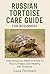 Russian Tortoise Care Guide for Beginners by Luna Trevisani