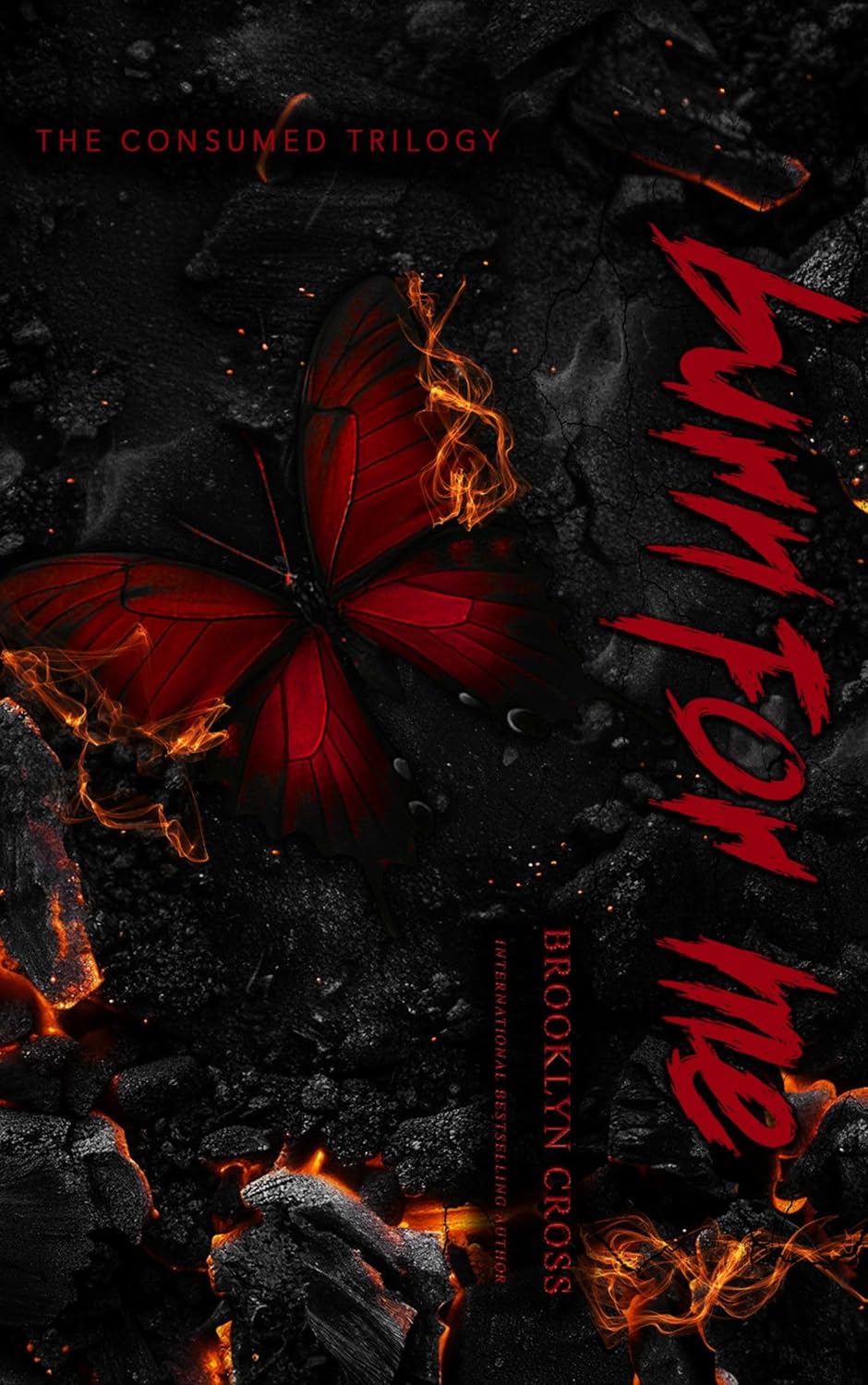 Burn for Me (The Consumed Trilogy #1)