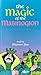 The Magic of the Mabinogion