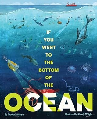 If You Went to the Bottom of the Ocean